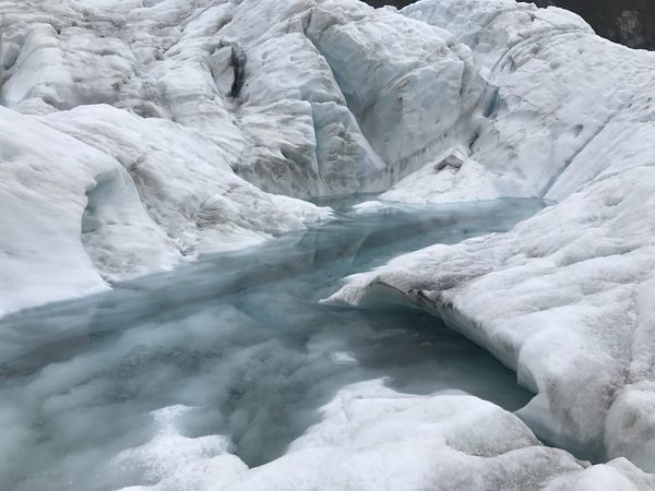 紐西蘭南島│Fox Glacier VS. Franz Josef 冰川健行