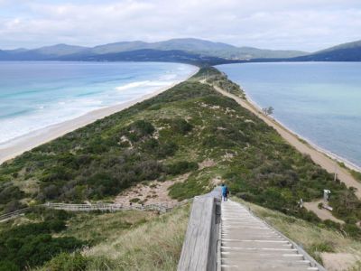 塔斯馬尼亞│首都Hobart景點–同場加映「布魯尼島」